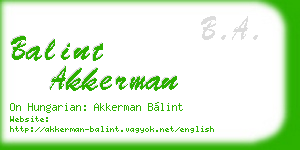 balint akkerman business card